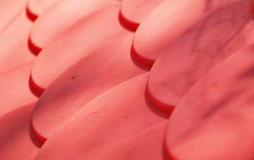 Duffield plastic roof costs